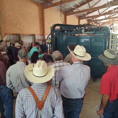 Showing bison working facility